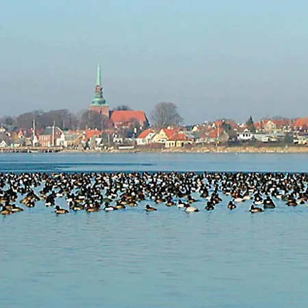 8 Person In Nysted-by Traum *